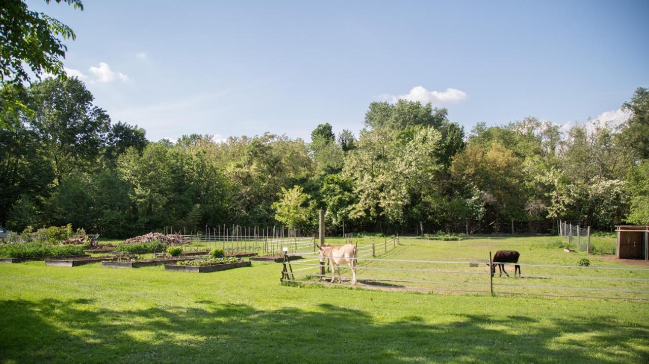 Вілла La Collina Delle Mignole Moruzzo Екстер'єр фото